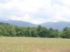 cades-cove_07_15_10-4689