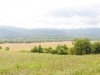 cadescove