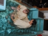 dsc9019