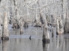 fairbluff_01-10-13_1859