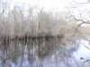 fairbluff_01-10-13_1864