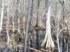 fairbluff_01-10-13_1875