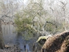 fairbluff_01-10-13_1891