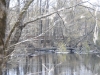 fairbluff_01-10-13_1908