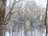 fairbluff_01-10-13_1910