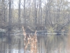fairbluff_01-10-13_1912