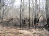 fairbluff_01-10-13_1918