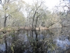 fairbluff_01-10-13_1930
