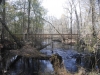 fairbluff_01-10-13_1931