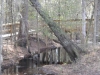 fairbluff_01-10-13_1935