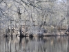 fairbluff_01-10-13_1937