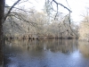 fairbluff_01-10-13_1940