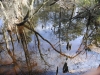 fairbluff_01-10-13_1962