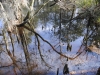 fairbluff_01-10-13_1963