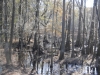 fairbluff_01-10-13_1969