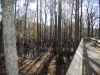 fairbluff_01-10-13_1973