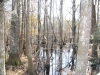 fairbluff_01-10-13_1978