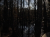 fairbluff_01-10-13_1981