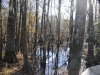 fairbluff_01-10-13_1986