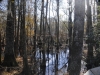fairbluff_01-10-13_1987