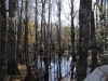 fairbluff_01-10-13_1992