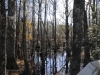 fairbluff_01-10-13_1999