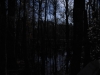 fairbluff_01-10-13_2001
