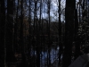 fairbluff_01-10-13_2002