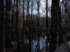 fairbluff_01-10-13_2003