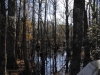 fairbluff_01-10-13_2004