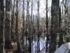 fairbluff_01-10-13_2005