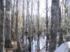 fairbluff_01-10-13_2006