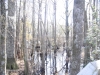 fairbluff_01-10-13_2007