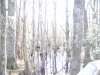 fairbluff_01-10-13_2008