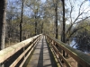 fairbluff_01-10-13_2060
