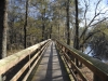 fairbluff_01-10-13_2062