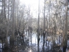 fairbluff_01-10-13_2073
