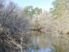 fairbluff_01-10-13_2079