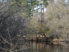 fairbluff_01-10-13_2081