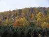 fall-2012_10_18_12-25359