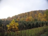 fall-2012_10_18_12-25360