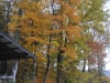 fall-2012_10_18_12-25362