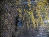 fall-2012_10_19_12-25377