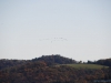 fall-2012_10_19_12-25490