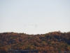 fall-2012_10_19_12-25493