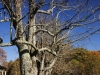 fall-2012_10_19_12-25532
