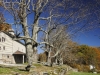 fall-2012_10_19_12-25537