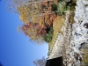 fall-2012_10_19_12-25565