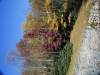 fall-2012_10_19_12-25566