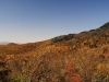 fall-2012_10_19_12-25607